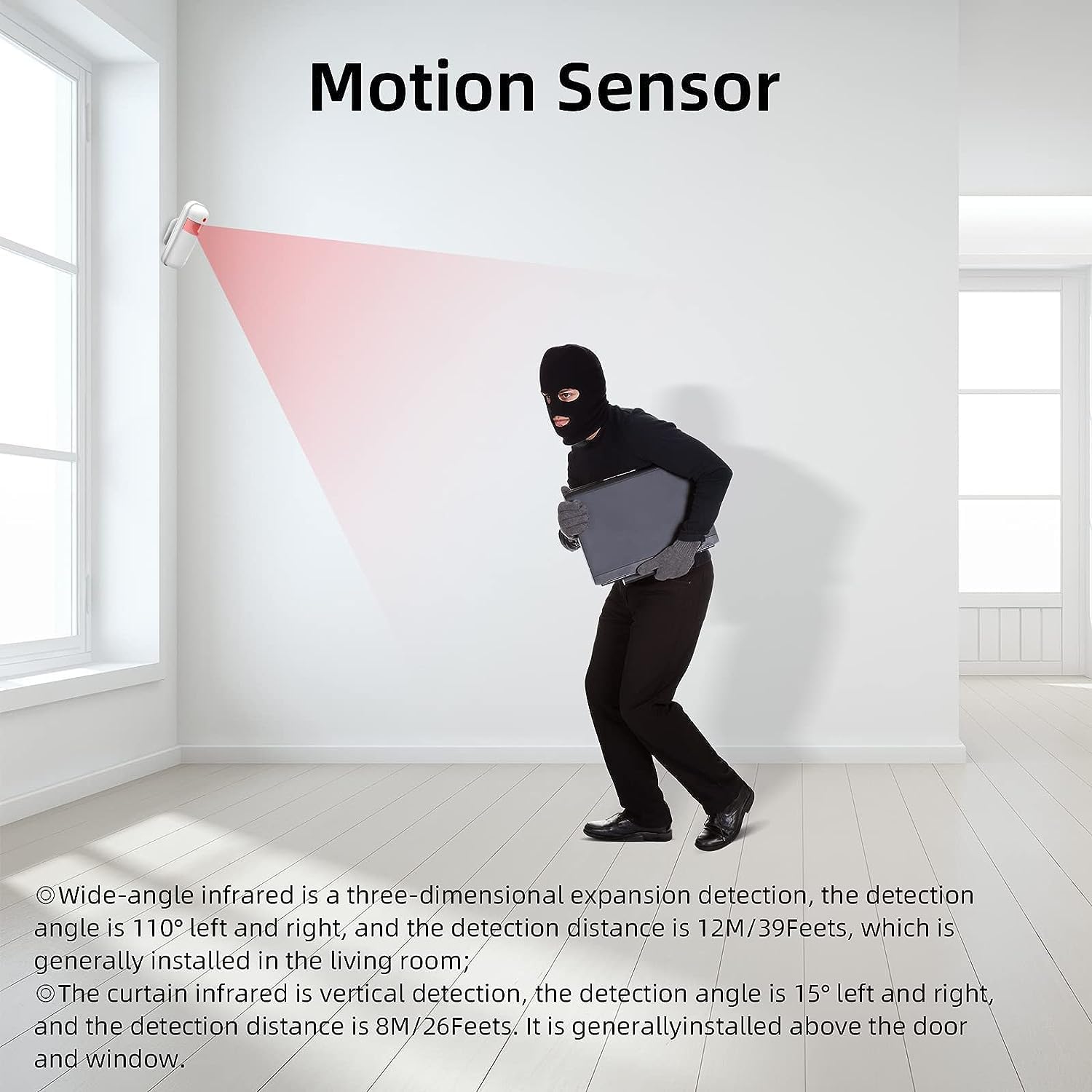 PIR motion detector immobilizer (PA92-1)